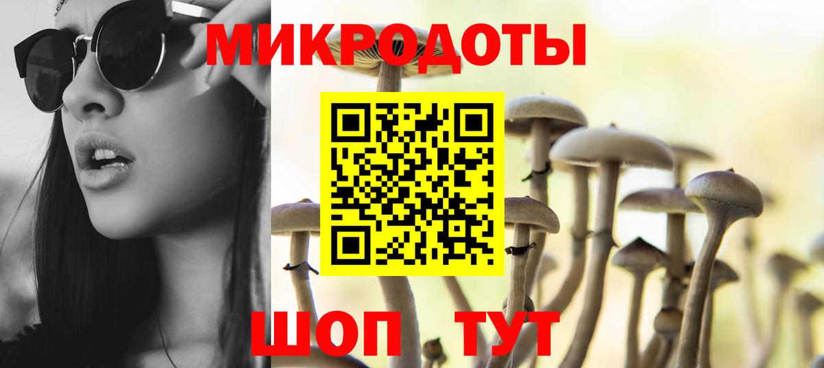 Галлюциногенные грибы MAGIC MUSHROOMS Брянск